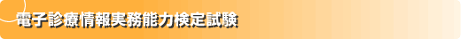 電子診療情報実務能力検定試験